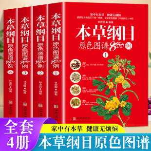 社 养生保健食疗指南中医功能主治用量用法百草药典华龄出版 本草纲目原色图谱800例全4册中草药彩色图谱彩图版 白话文李时珍家庭版