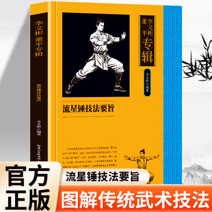 正版 李文彬 董平专辑 流星锤技法要旨 中华传统武术经典传书专辑 岳家拳流星锤武术 深度讲解流星锤技法核心要点指南