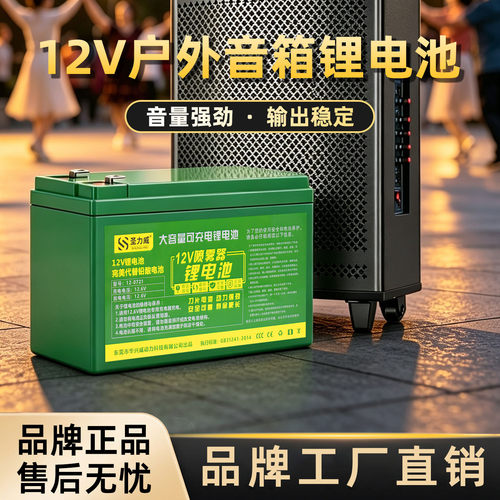 圣力威12伏音响锂电池户外可外置