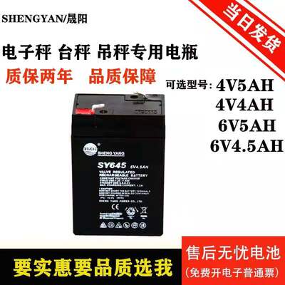 SHENGYANG晟阳蓄电池 SY640 6V4AH 玩具车童车 电子称用电瓶6v4.5