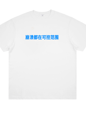 崩溃都在可控范围 创意标语纯棉印花短袖小众设计趣味男女t恤夏