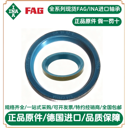 ina油封 GR25X32X4 原装德国密封圈GR25*32*4 GR25324 机械密封圈