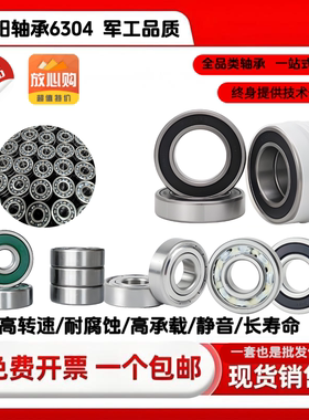 洛阳轴承6304e轴承 6304rz轴承 6304rds tdt6304z 6304轴承插销