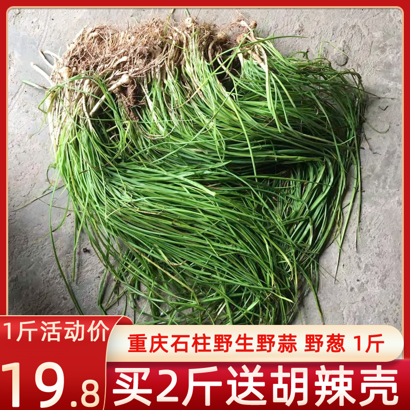 重庆石柱特产现挖野生野葱新鲜蔬菜野蒜小根蒜野菜500克助农产品