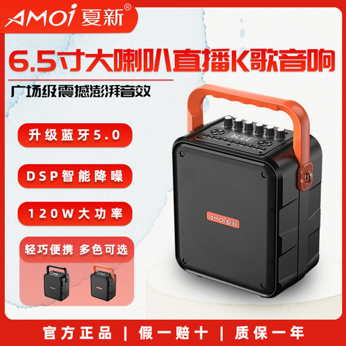 V53户外广场舞手提话筒音响