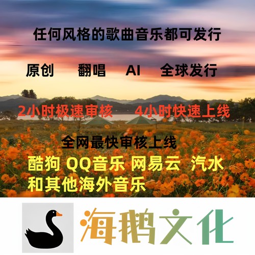 音乐发行 翻唱歌曲发行 发行汽水音乐音乐人网易云酷狗QQ音乐