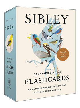英文原版 Sibley Backyard Birding Flashcards Revised and Updated 西布利后院观鸟抽认卡 修订更新版 北美东西部100种常见鸟类