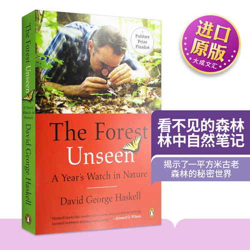 看不见的森林进口原版书籍