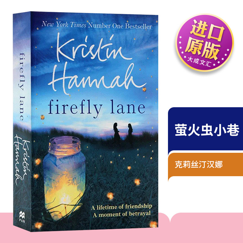 英文原版小说萤火虫小巷图片