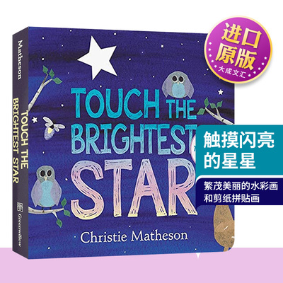 英文原版触摸闪亮的星星纸板书