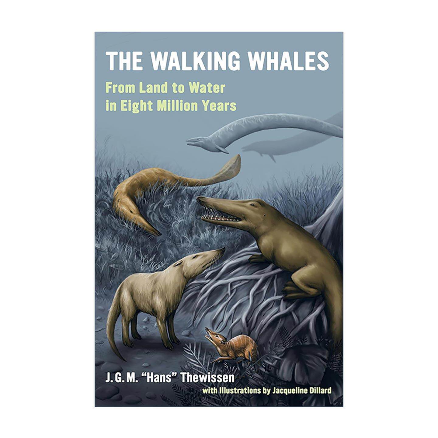 英文原版 The Walking Whales 行走的鲸鱼 从陆地到水中的800万年 生命科学 加州大学出版社 英文版 进口英语原版书籍