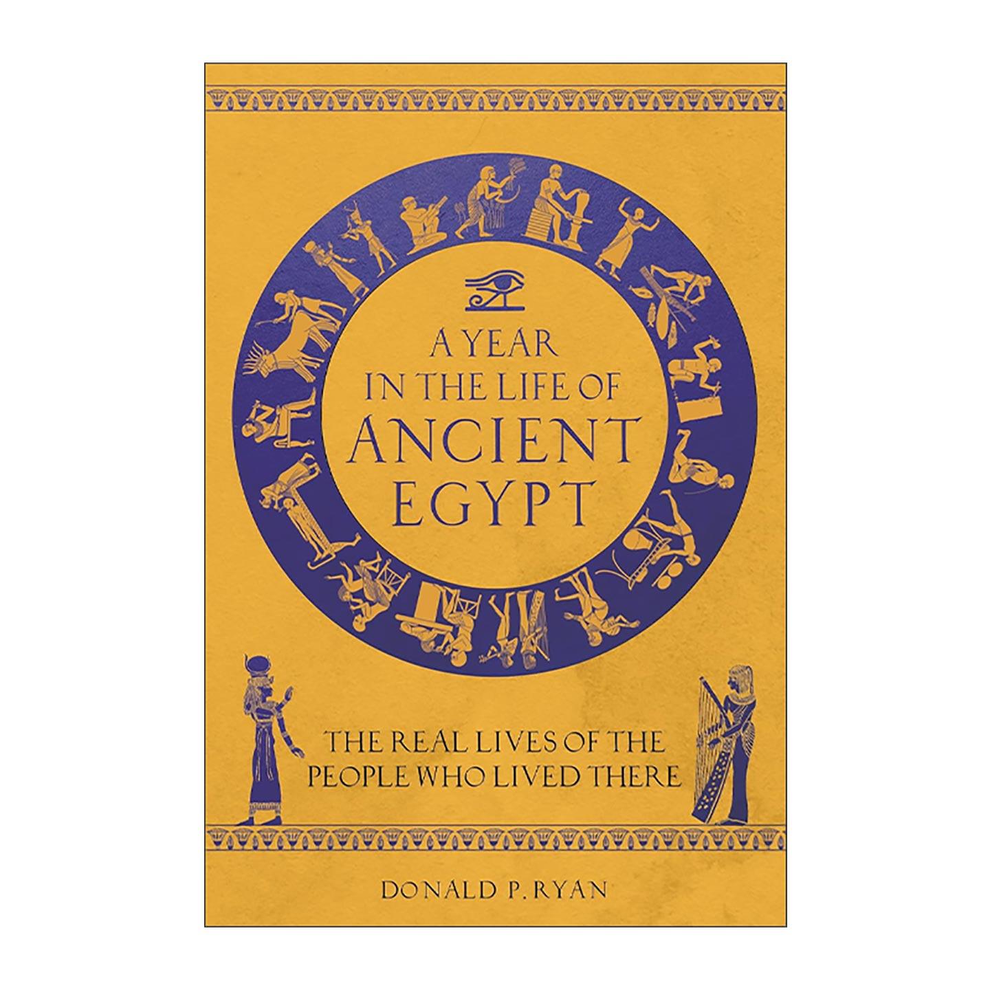 英文原版 A Year in the Life of Ancient Egypt 古埃及人的一年 精装插图版 青少年古埃及历史文化科普 英文版 进口英语原版书籍