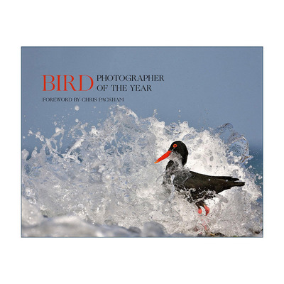 英文原版 Bird Photographer of the Year Collection 5 世界鸟类摄影比赛 精装野生鸟类图册 英文版 进口英语原版书籍