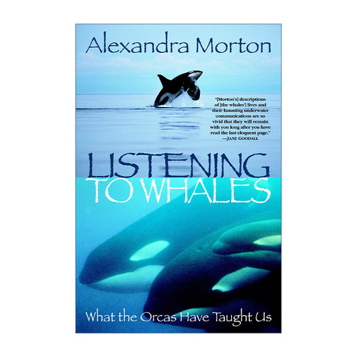 英文原版 Listening to Whales 聆听鲸鱼的声音 虎鲸教会了我们什么 海洋 传记 Alexandra Morton 英文版 进口英语原版书籍