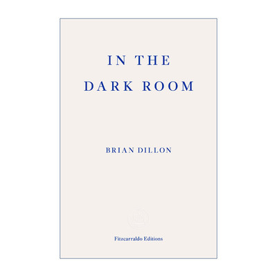 英文原版 In the Dark Room 在黑暗的房间里 布莱恩·狄龙 英文版 进口英语原版书籍
