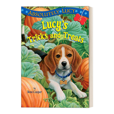 不给糖就捣蛋的露西英文原版