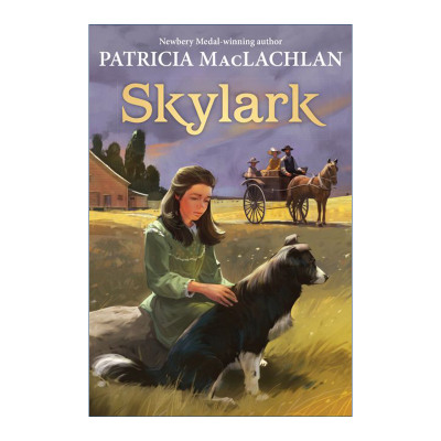 英文原版 Skylark 云雀 又丑又高的莎拉2 纽伯瑞奖作家Patricia MacLachlan 英文版 进口英语原版书籍