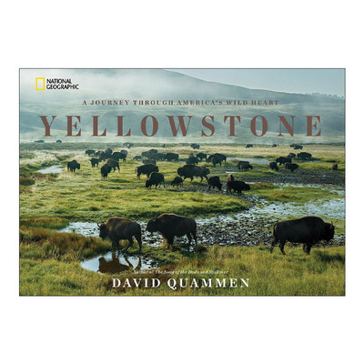 英文原版 Yellowstone 黄石公园 穿越美国荒野之旅 众神的怪兽作者David Quammen 国家地理 精装 英文版 进口英语原版书籍
