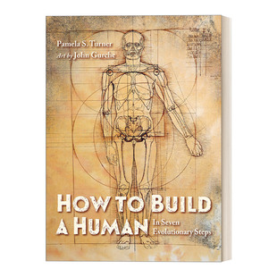 人类进化潜能插画精装 How Human 英文原版 绘本 进口英语原版 Build 英文版 书籍 儿童考古学科普百科 如何用7步塑造一个人