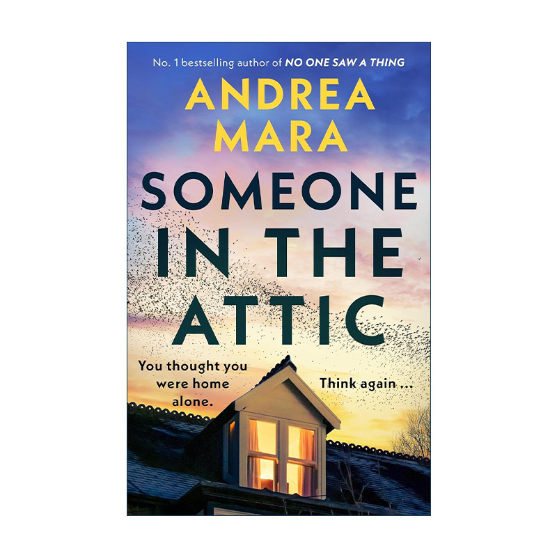 英文原版 Someone in the Attic 阁楼有人 Andrea Mara畅销女性心理悬疑犯罪小说 英文版 进口英语原版书籍