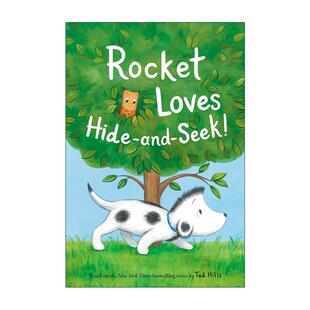 Hide 书籍 进口英语原版 绘本 Rocket Loves 小黄鸭与小白鹅作者Tad See And 英文版 英文原版 洛奇喜欢捉迷藏 Hills 儿童精装