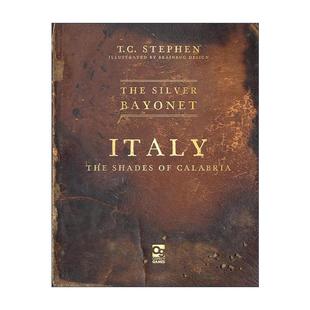 英文版 书籍 Bayonet 意大利卡拉布里亚暗影 哥特式 银刺刀 Silver Italy 进口英语原版 英文原版 拿破仑战争桌面战争兵棋指导书 The