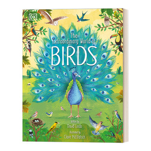 鸟类世界 The World 鸟类生物学 英文原版 插图书 Birds Extraordinary DK少儿图解科普 鸟类世界百科全书 非凡 英文版 精装