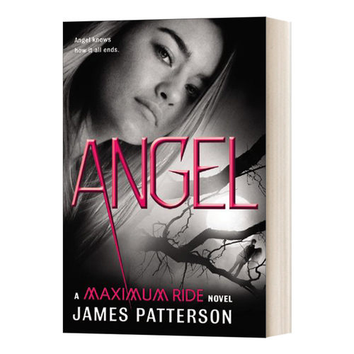 英文原版小说 Maximum Ride #7 Angel  极速飞行7 英文版 进口英语原版书籍