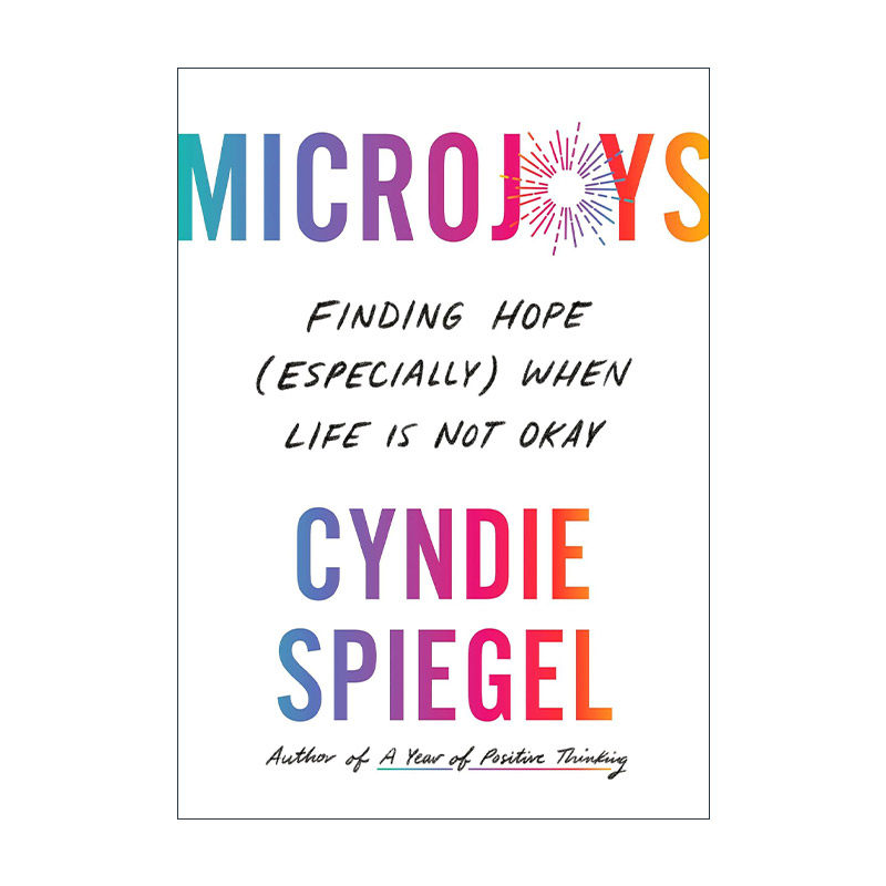 英文原版 Microjoys 微快乐 人生忽如寄 莫辜负茶 汤 好天气 Cyndie Spiegel 精装 英文版 进口英语原版书籍