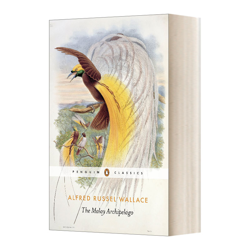 英文原版 The Malay Archipelago 马来群岛自然考察记 阿尔弗雷德 罗素 华莱士 企鹅黑经典 Penguin Classics 英文版 进口英语书