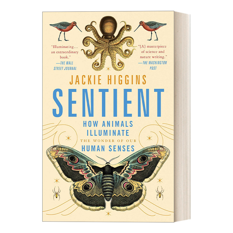 英文原版 Sentient 感官 动物如何照亮我们人类感官的奇迹 英文版 进口英语原版书籍