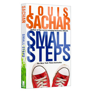 碎步 追梦少年 进口英语原版 Small 书籍儿童图书 英文版 Steps 作者路易斯萨奇 英文原版 洞