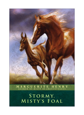 英文原版 Stormy Misty's Foal 暴风雨 迷雾的小马 辛可提岛的迷雾续集1 纽伯瑞奖作者玛格丽特亨利 英文版 进口英语原版书籍