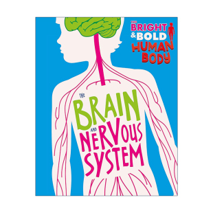 Brain The Human 英文原版 Nervous 大脑和神经系统 and 图解人体结构 Bright 儿童人体科普百科进口书 Bold System Body