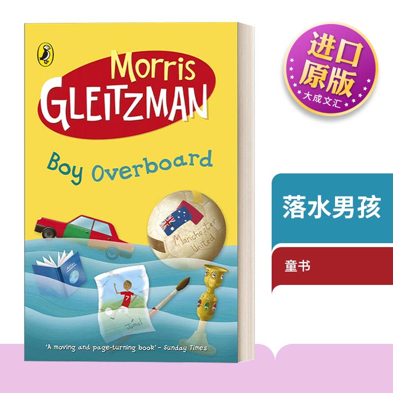 英文原版书籍落水男孩