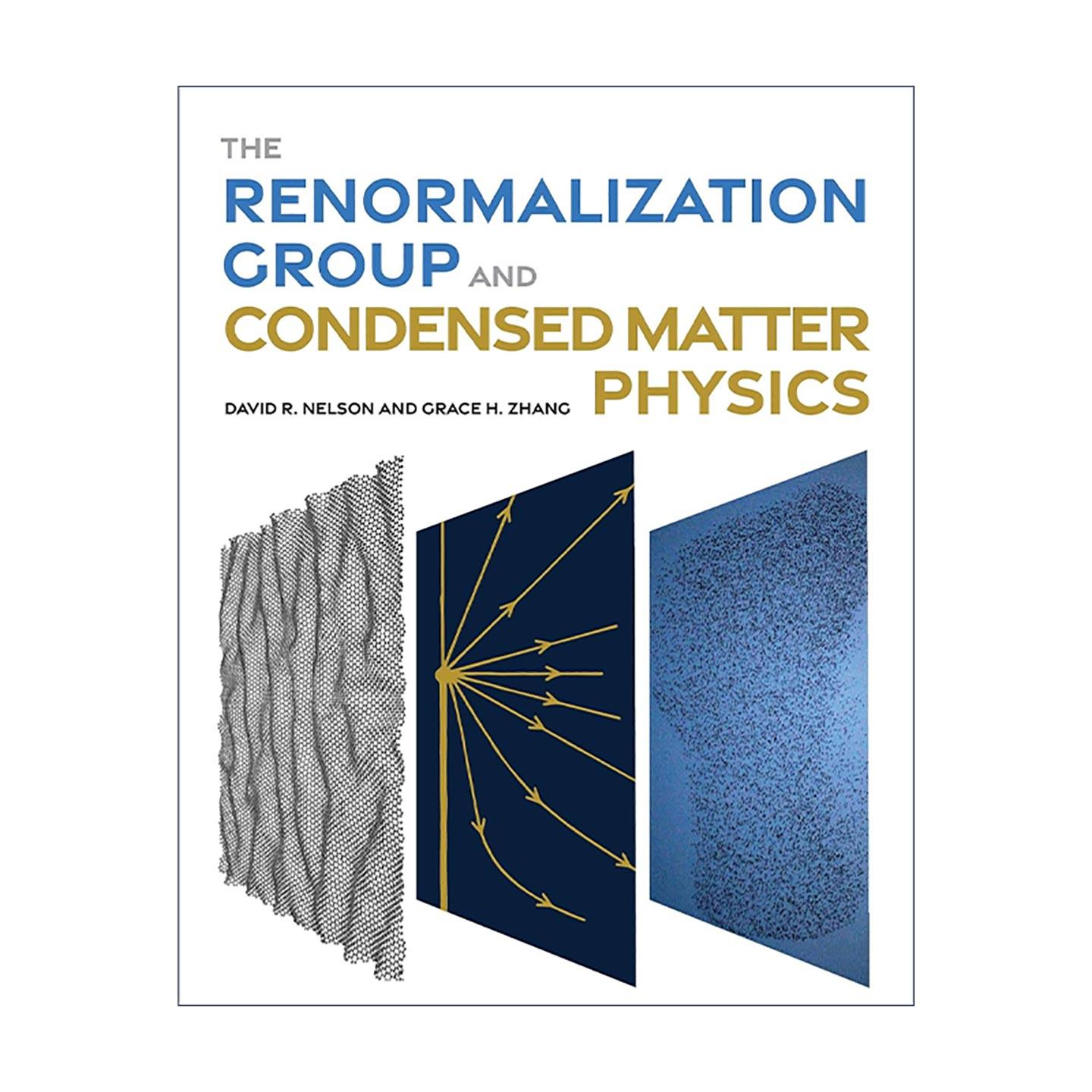 英文原版 The Renormalization Group and Condensed Matter Physics 重整群理论与凝聚态物理学 哈佛大学教授David R. Nelson
