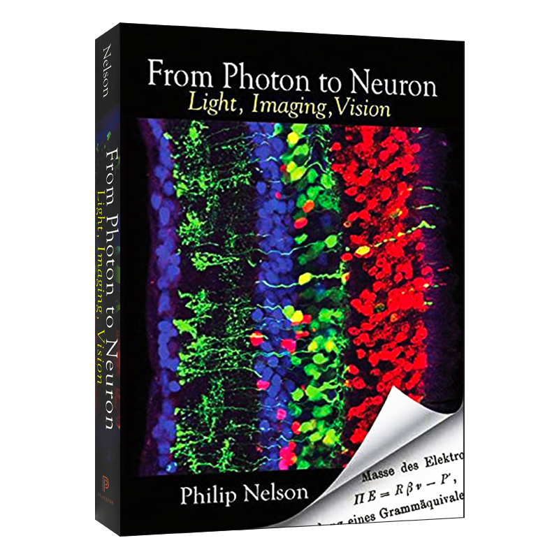 英文原版 From Photon to Neuron 从光子到神经元 平装 英文版 进口英语原版书籍