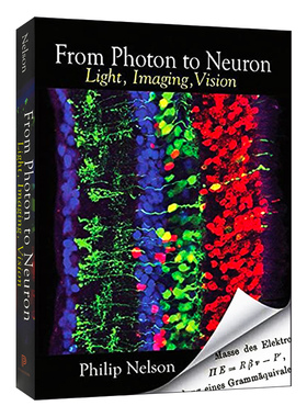 英文原版 From Photon to Neuron 从光子到神经元 平装 英文版 进口英语原版书籍