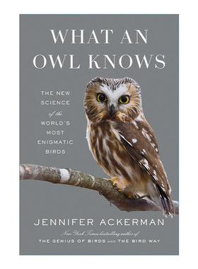 英文原版 What an Owl Knows 猫头鹰所知道的 世界上神秘的鸟类新科学 鸟类的天赋作者Jennifer Ackerman 精装 进口英语原版书籍