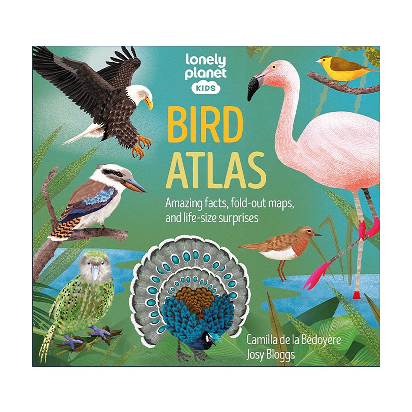 英文原版 Lonely Planet Bird Atlas 鸟类图集 精装 孤独星球 英文版 进口英语原版书籍