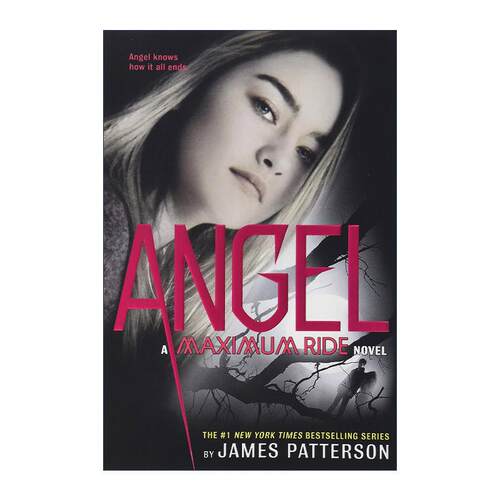英文原版 Maximum Ride #7 Angel 极速飞行7 英文版 进口英语原版书籍