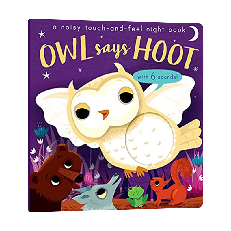 owl says hoot 英文原版绘本 猫头鹰 触摸发声书 动物认知纸板书 英文