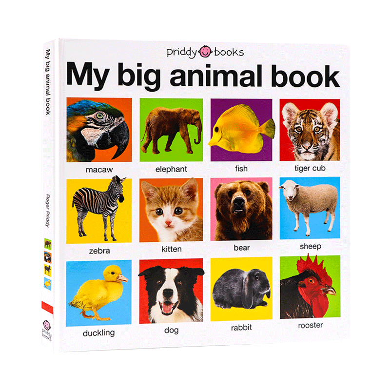 英文原版绘本 My Big Animal Book Casebound 我的大本动物书 低幼早教动物认知启蒙图画书 英文版 进口英语原版书籍儿童图书