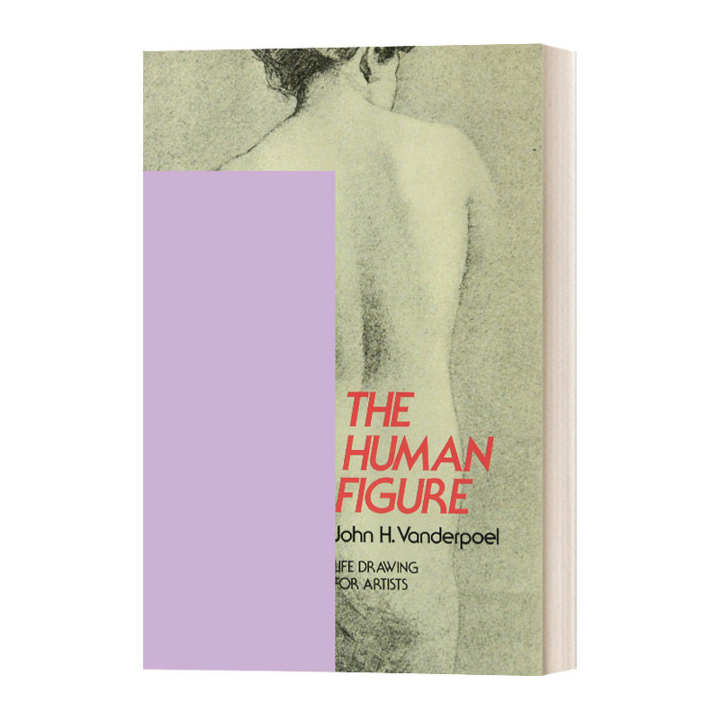 英文原版 the human figure 人体 430幅人体特征铅笔画和炭笔画 英文