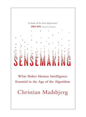 英文原版 Sensemaking 意会 算法时代的人文力量 英文版 进口英语原版书籍