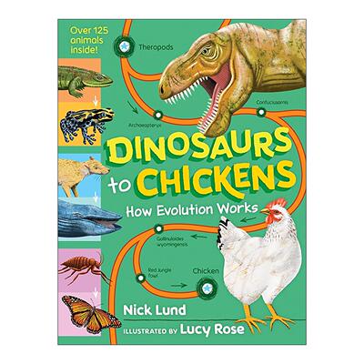 英文原版 Dinosaurs to Chickens 从恐龙到鸡 进化是如何运作的 精装 生物进化过程科普读物 英文版 进口英语原版书籍