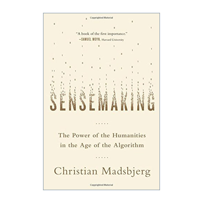 英文原版 Sensemaking 意会 算法时代的人文力量 精装 英文版 进口英语原版书籍
