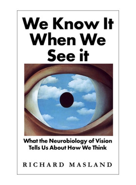 英文原版 We Know It When We See It 我们如何看见又如何思考 理查德·马斯兰 精装 英文版 进口英语原版书籍