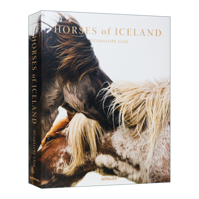 英文原版 Horses Of Iceland 冰岛之马 精装 英文版 进口英语原版书籍