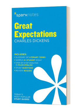 英文原版 Great Expectations SparkNotes Literature Guide 文学指南 远大前程 英文版 进口英语原版书籍